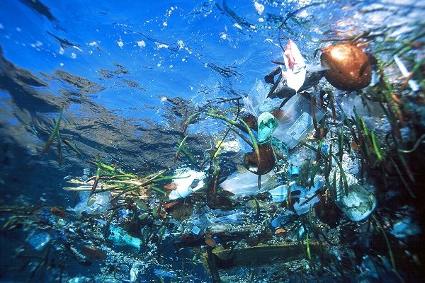 zwerfafval-plastic-soep-groen-en-gelukkig-groenengelukkig-fiona-van-kessel-zwerfie-zwerfafval-plastic-milieu-milieucentraal-vervuiling-afval-oceaan-plasticsoep