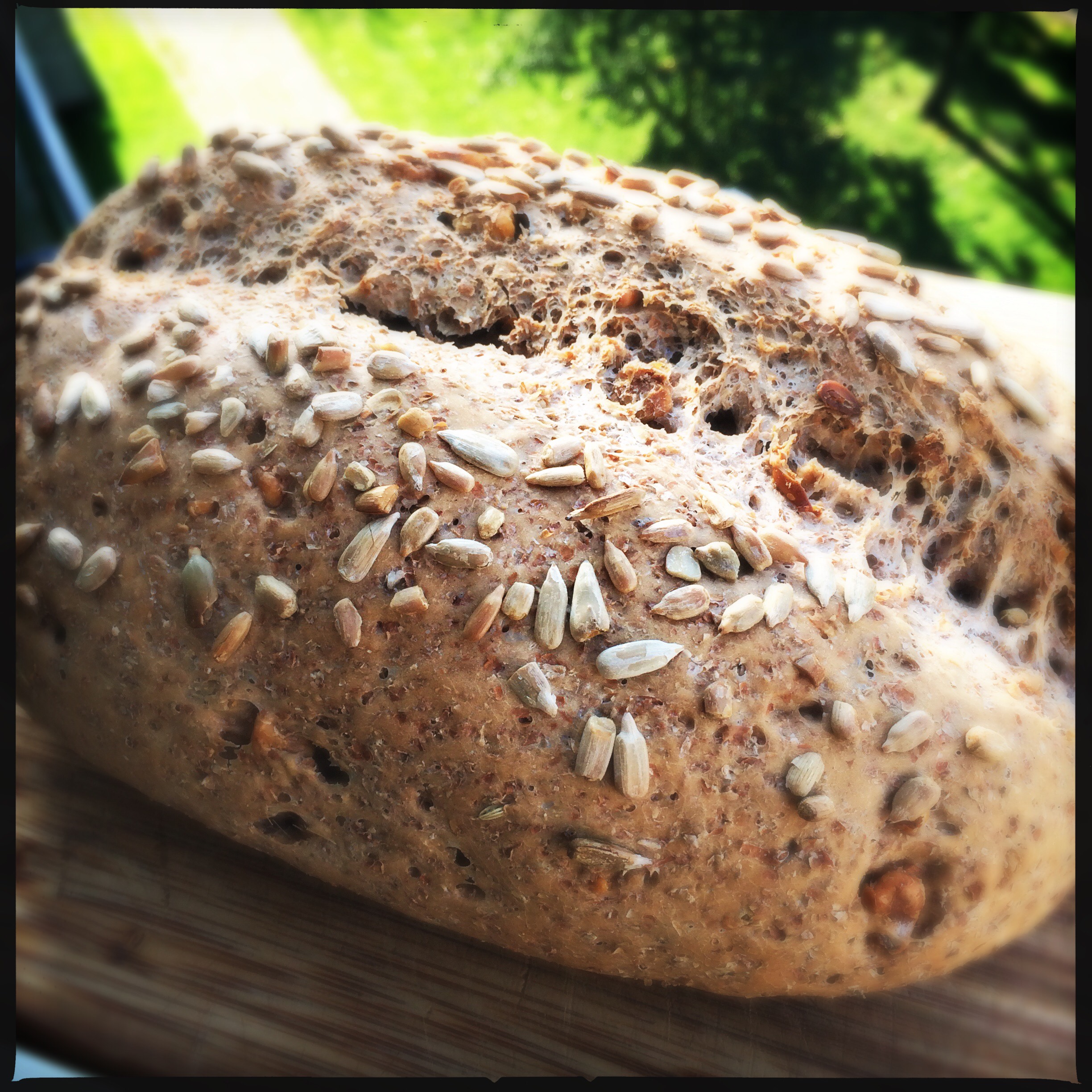 Brood 2 Tekst voor zoekmachine